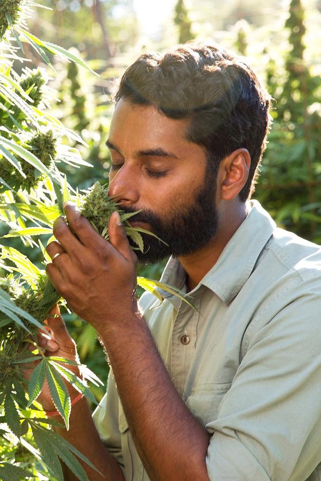Weediquette