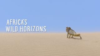 Africa's Wild Horizons