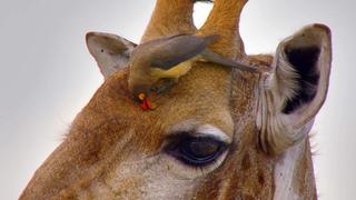 The Waterberg - Mountains of Life