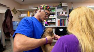 Dr. Jeff: Rocky Mountain Vet
