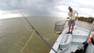 LA Redfish