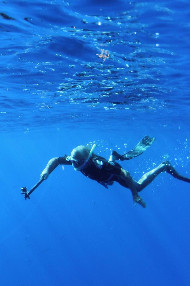 Ocean Vet
