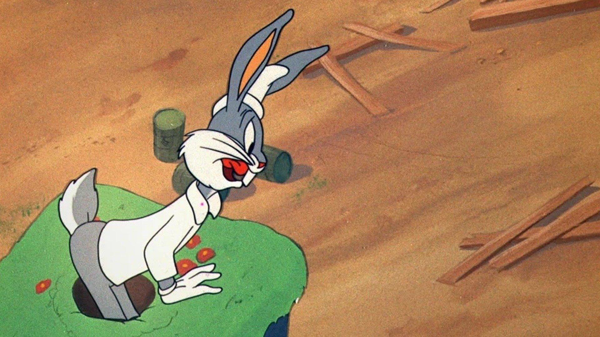 Looney Tunes: To Hare is Human