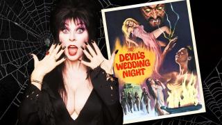 The Devil's Wedding Night