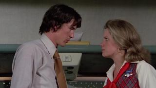 The Stewardess
