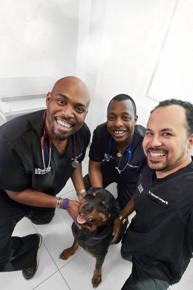 The Vet Life