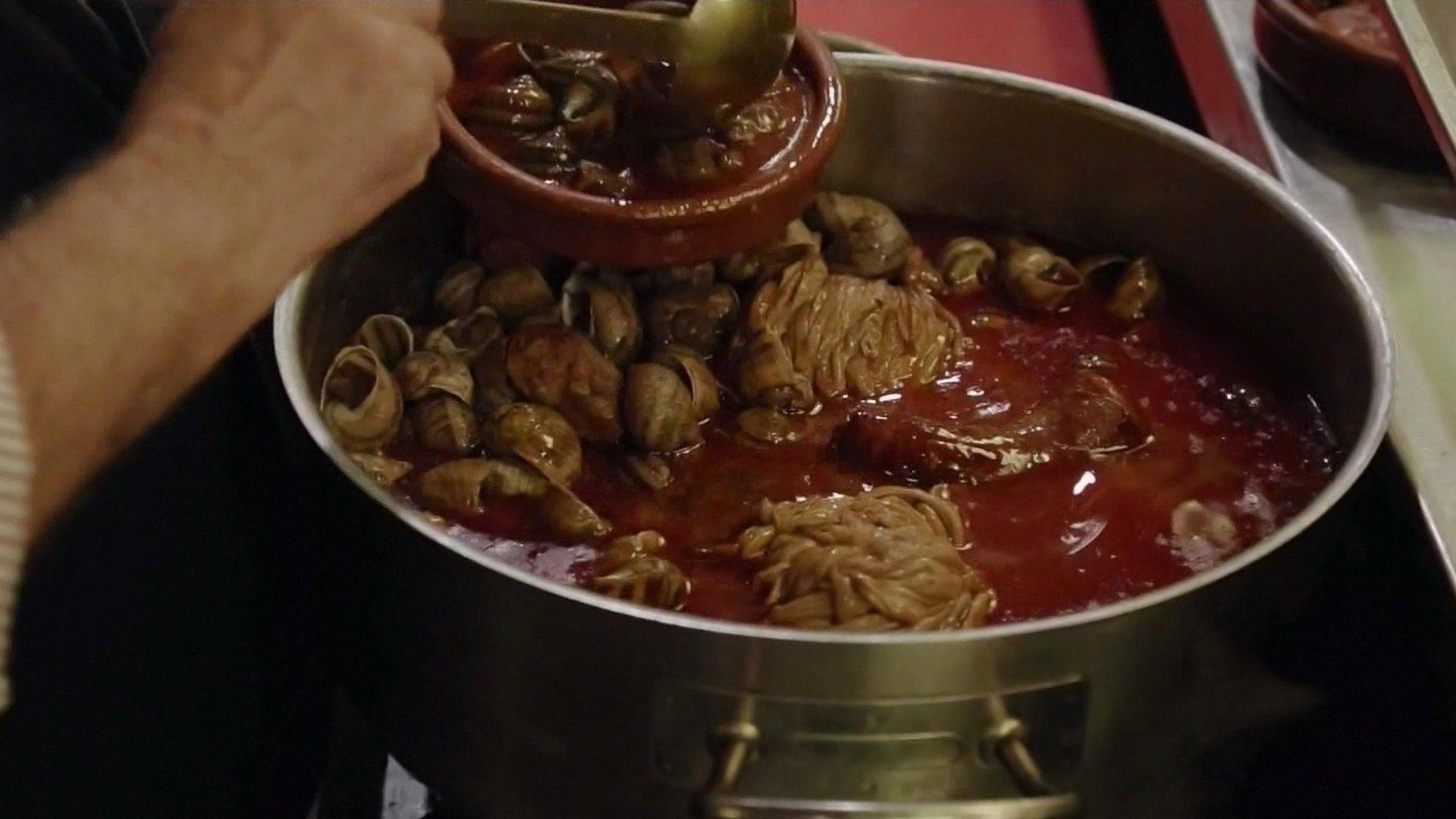 Lights Out Xtreme Fighting Madrid