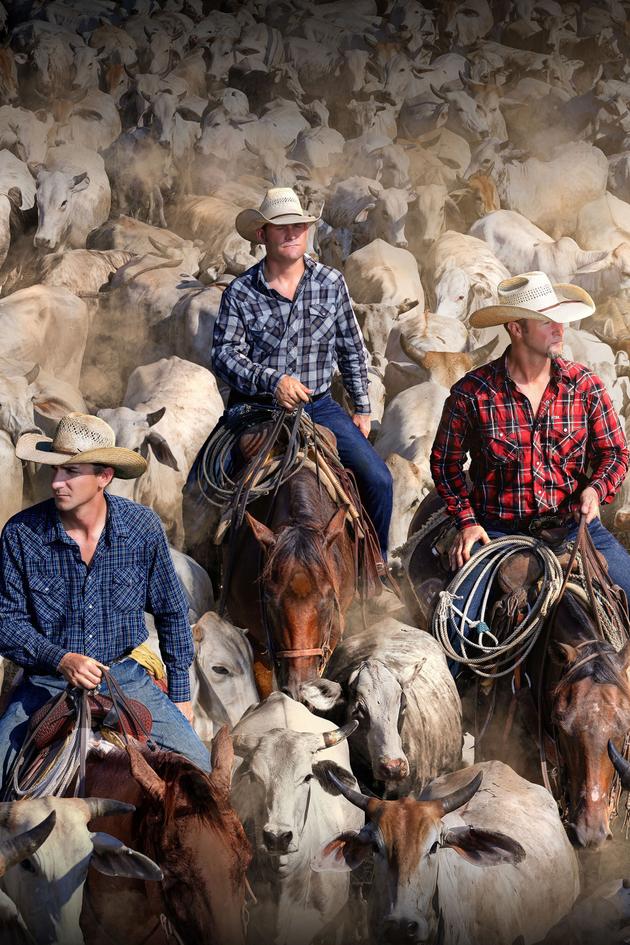 The Cowboy Way