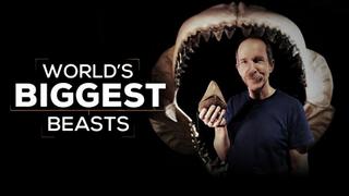 World's Biggest Beasts