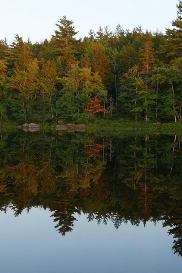 Wild Wild East