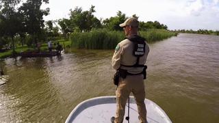 Gator Bait