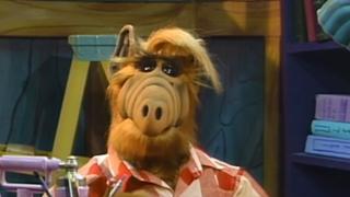 Captain Bobaroo