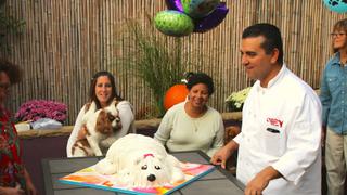 Quinceañeras, Quarterbacks and K9's
