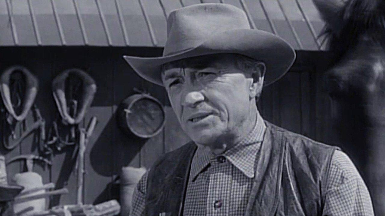 The rifleman flowers by the door
