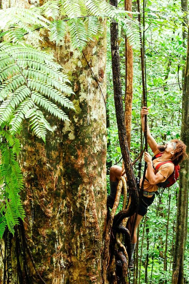 American Tarzan