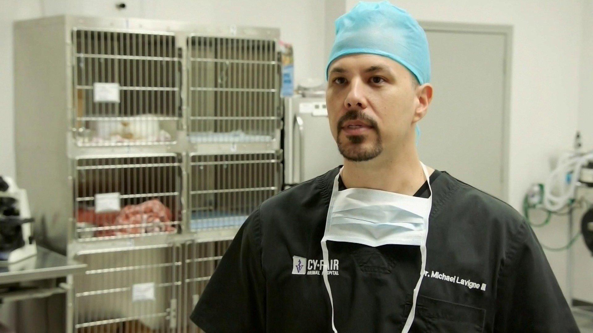 The Vet Life Lights, Camera, Action!