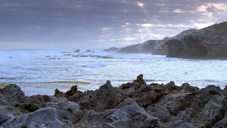 Sweeping Shores