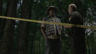 Swamp Murders