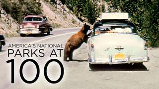 America's National Parks at 100