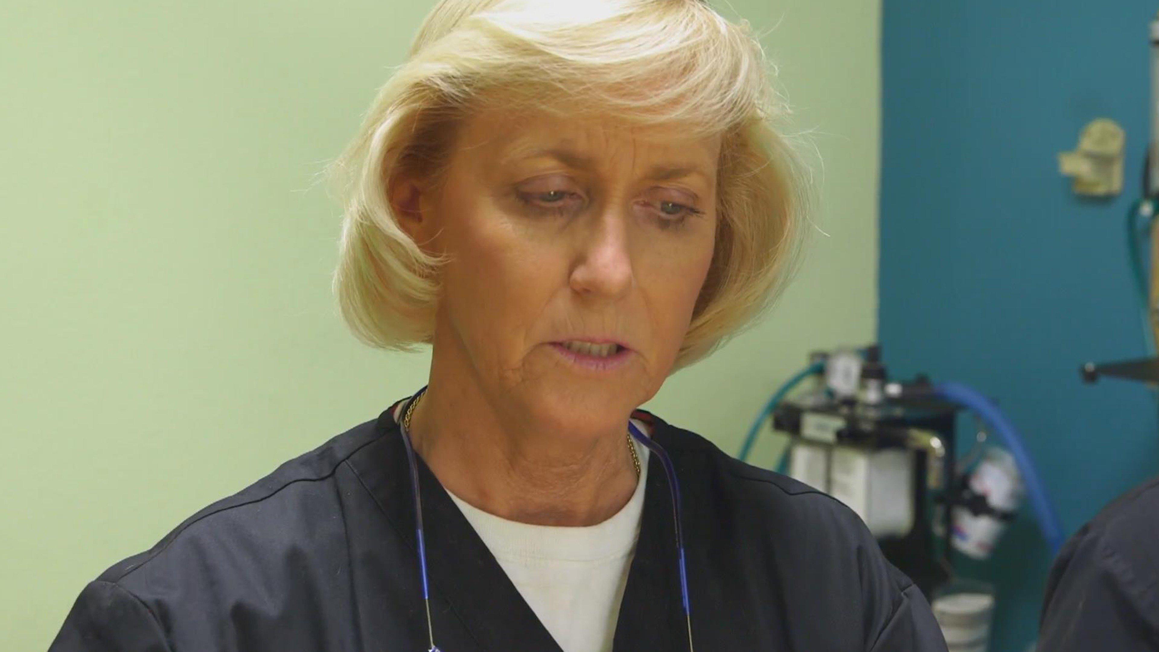 Dr. Dee Alaska Vet Critical Condition