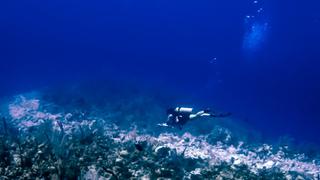 Grand Cayman Islands