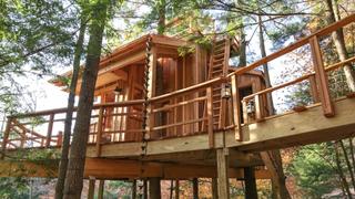 The Coolest Treehouse Ever Built
