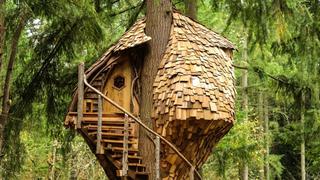 Treehive Beehive