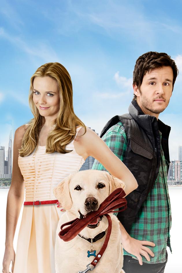 Who Gets the Dog?
