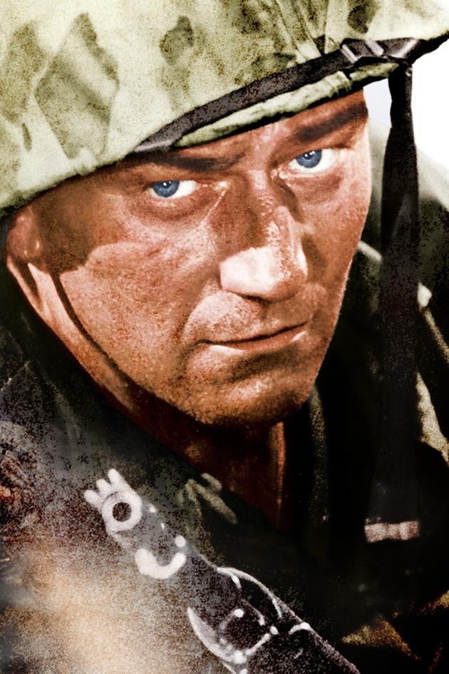 Sands of Iwo Jima
