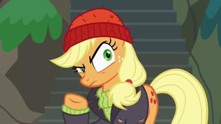 P.P.O.V. (Pony Point of View)