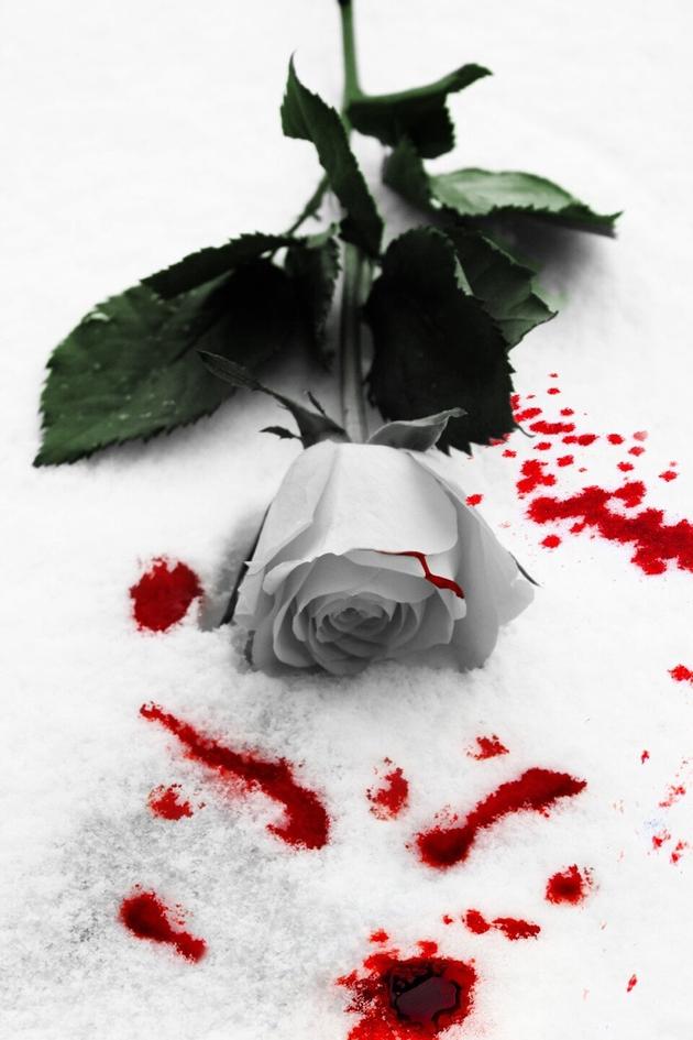 Married With Secrets