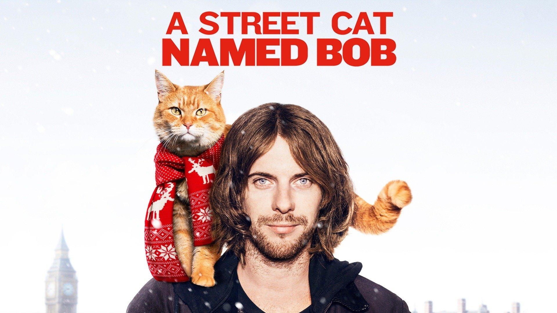 Watch A Street Cat Named Bob Streaming Online on Philo (Free Trial)