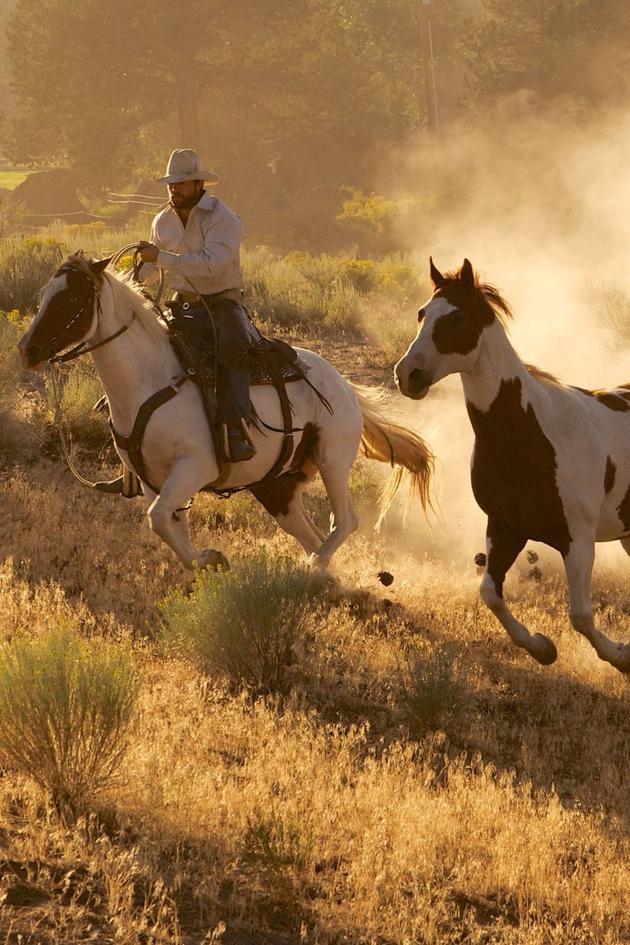 Planet Earth: Wild West