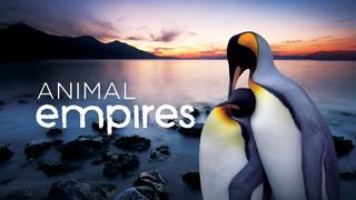 Animal Empires