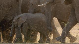 Life in the Furnace Life in the Furnace