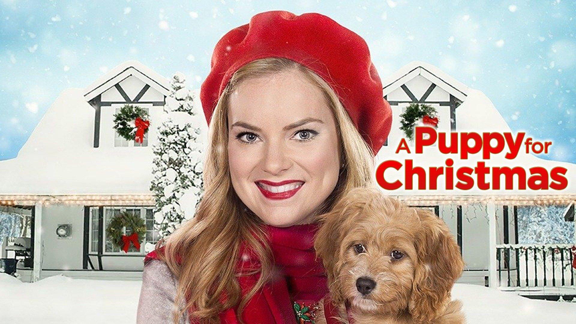 Watch A Puppy for Christmas Streaming Online on Philo (Free Trial)