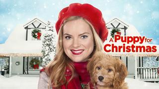A Puppy for Christmas