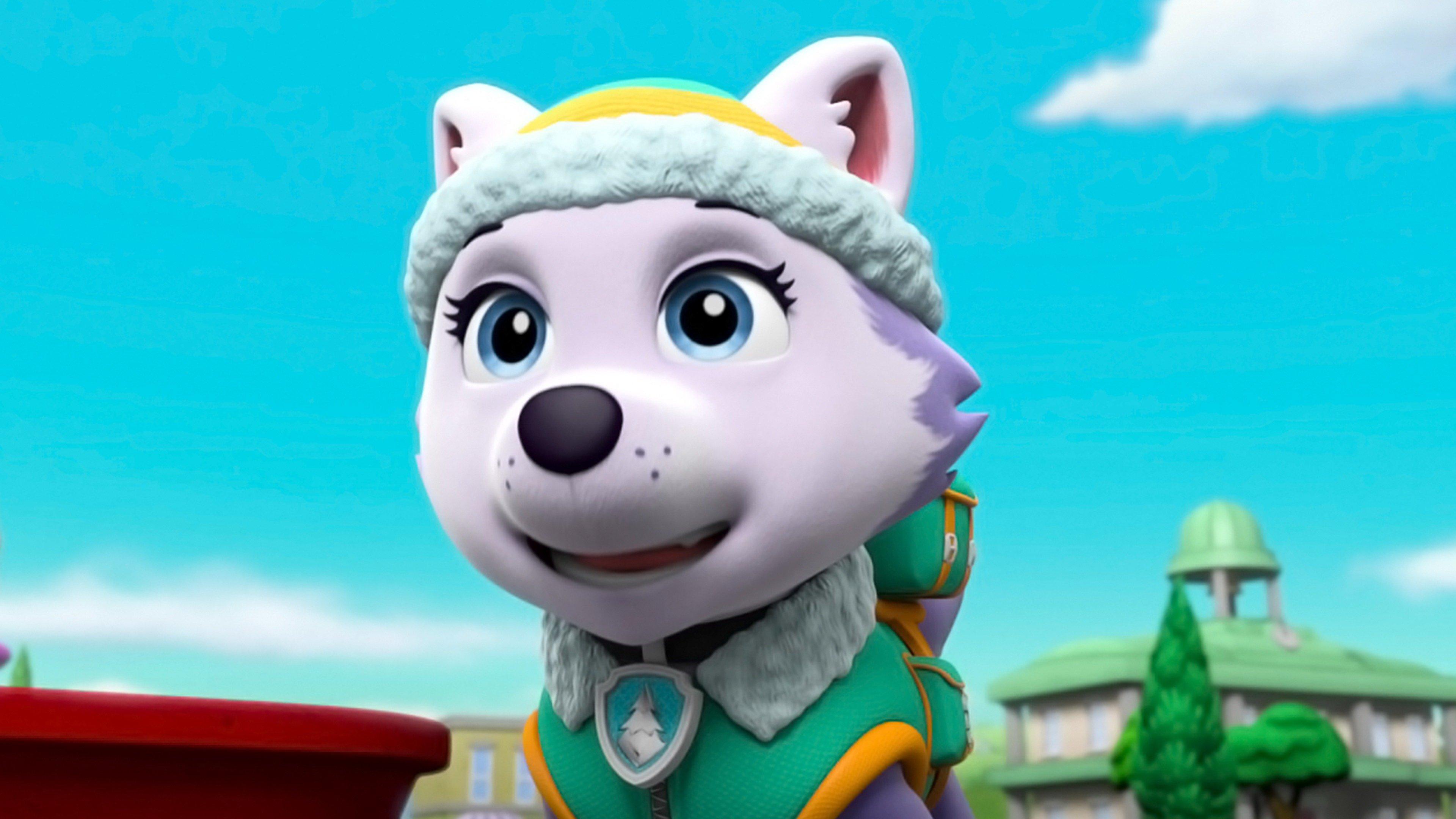 PAW Patrol: Pups Get Skunked; Pups and a Whale of a Tale