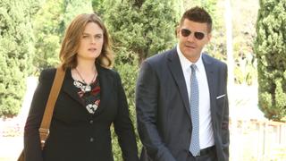 The Final Chapter: The New Tricks in the Old Dogs
