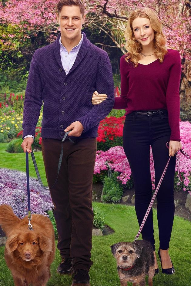 Walking the Dog