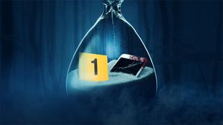 The Campfire Mint Murder