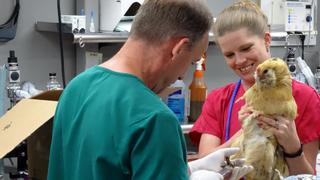 Dr. Jeff: Rocky Mountain Vet