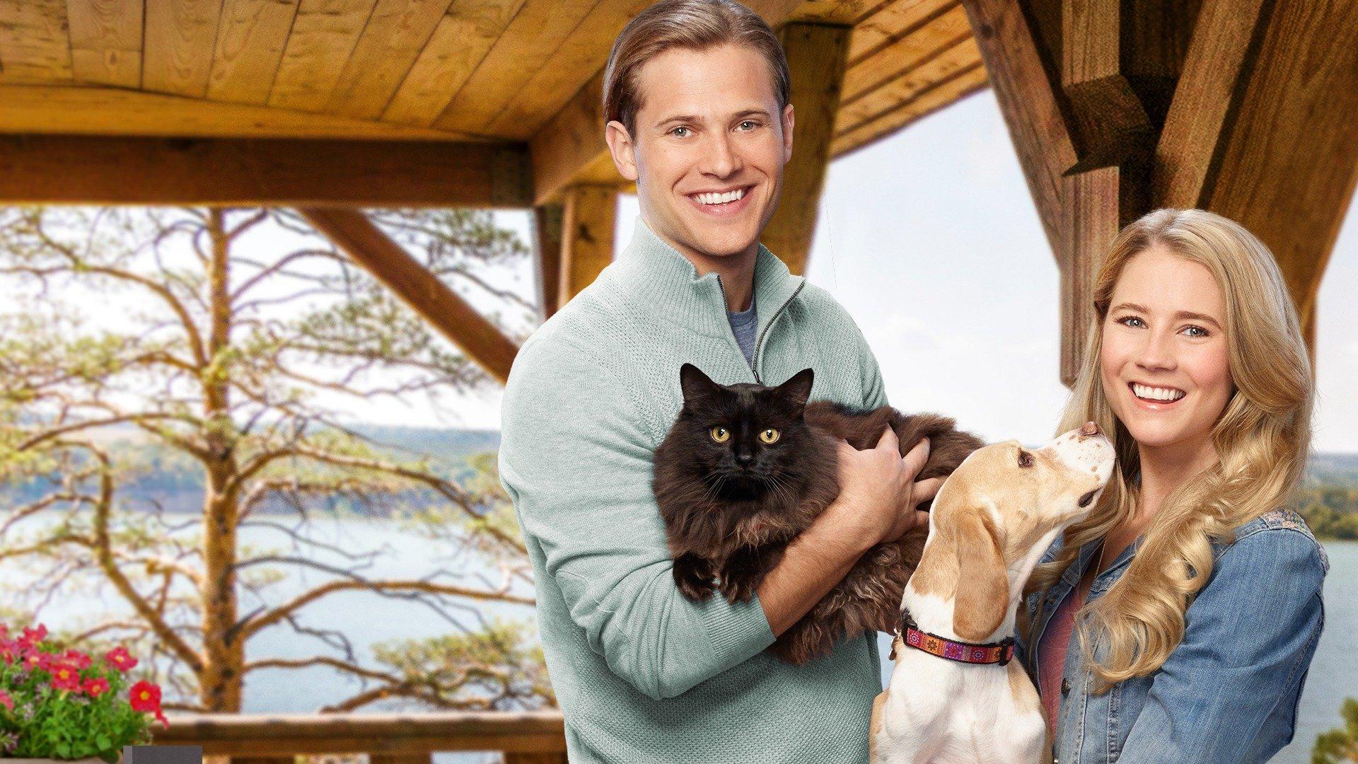 Like Cats & Dogs on Philo