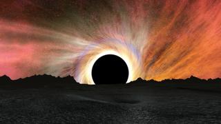 The Largest Black Holes in the Universe