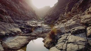 Weird Wonders of the Wadi