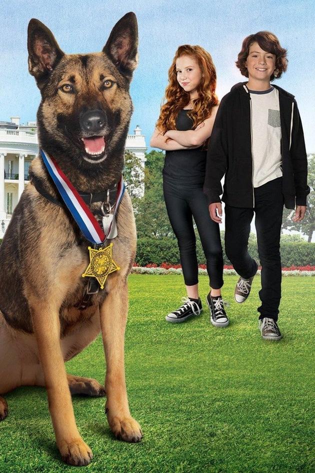 Max 2: White House Hero