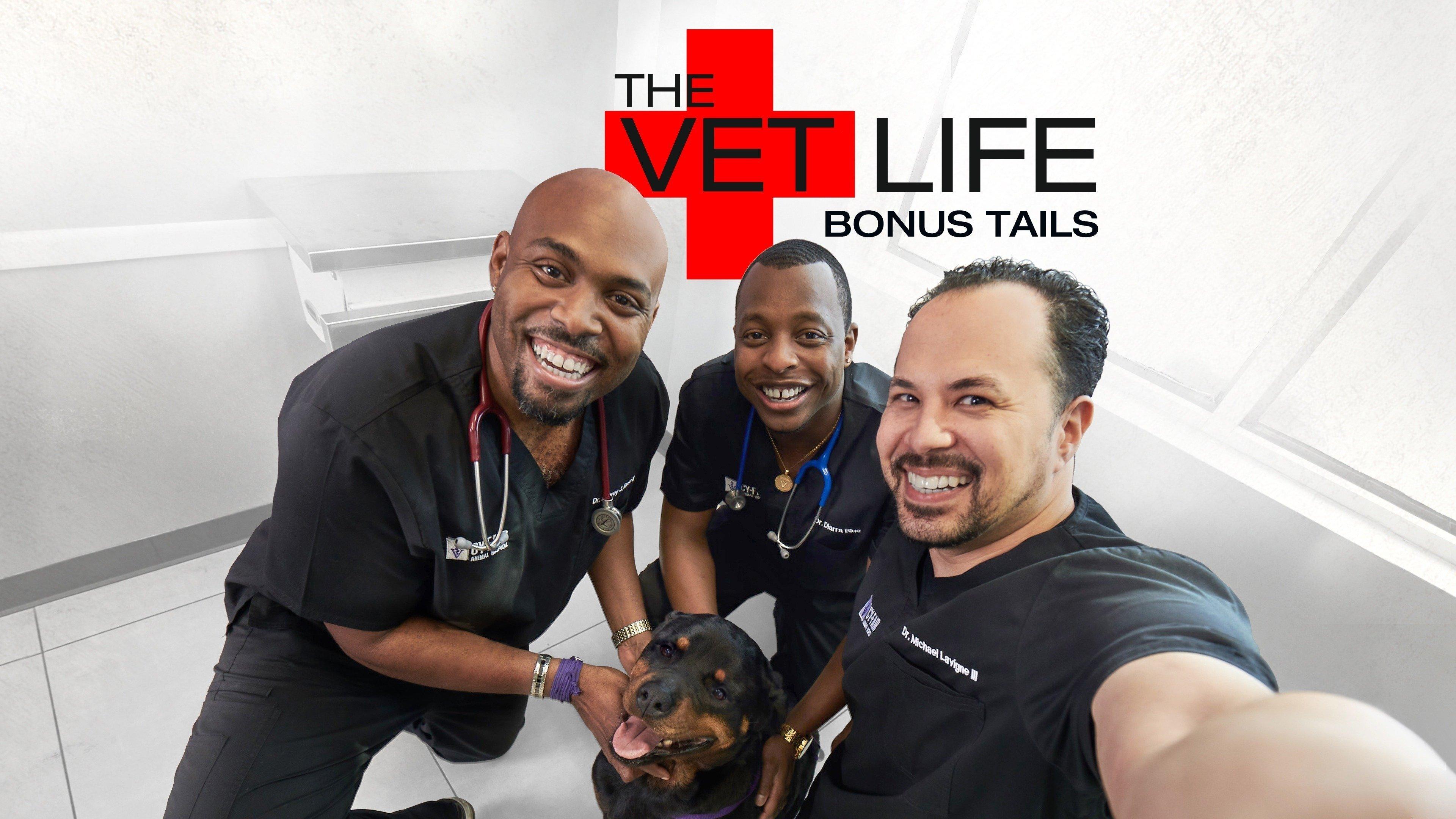 Watch The Vet Life Bonus Tails Streaming Online on Philo (Free Trial)