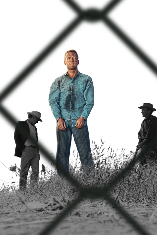Cool Hand Luke