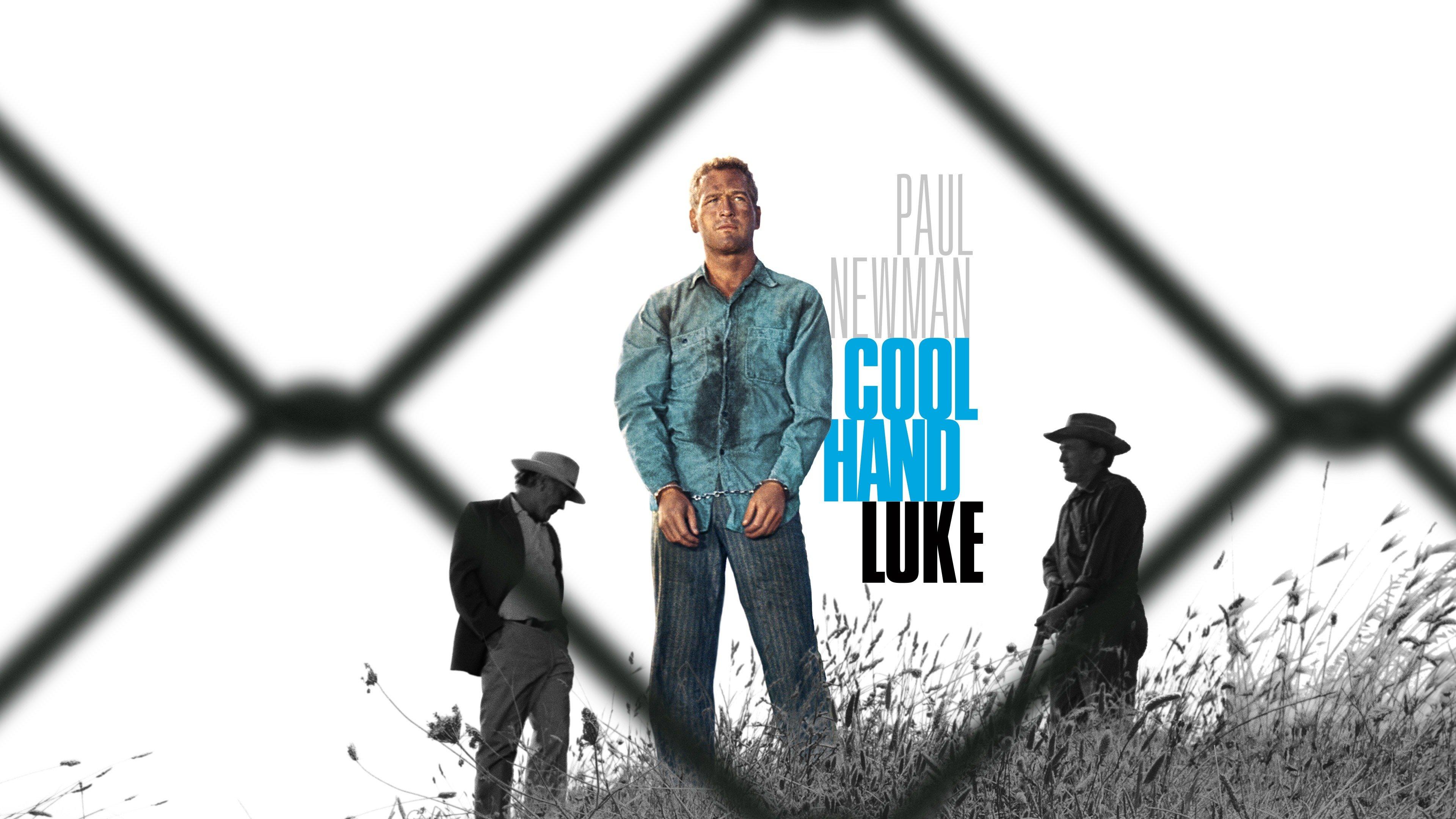 Watch Cool Hand Luke Streaming Online on Philo (Free Trial)