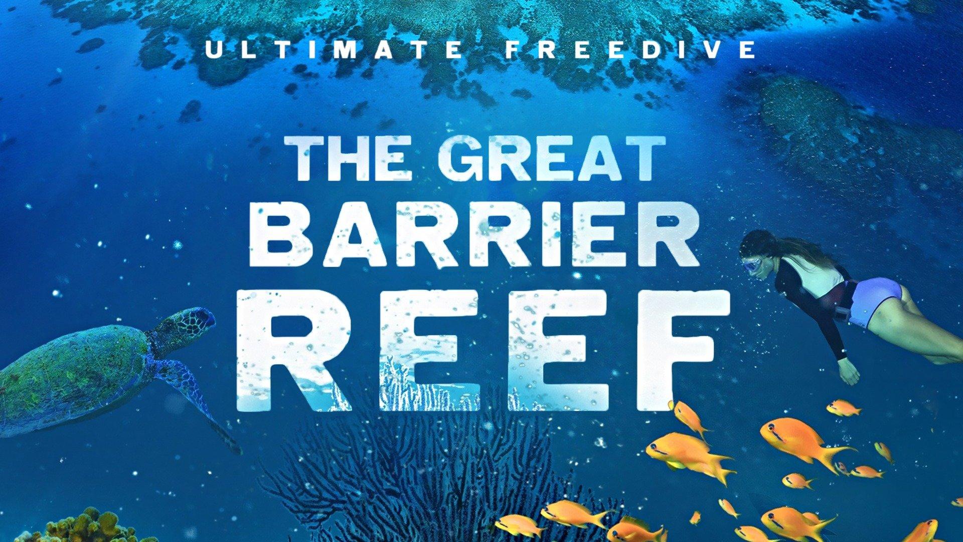 Watch Ultimate Freedive: The Great Barrier Reef Streaming Online on ...